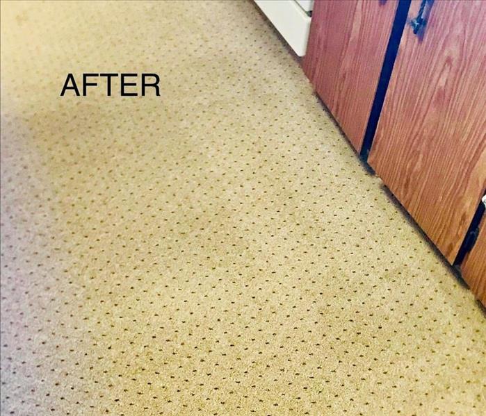 Carpet Looks as Good as New