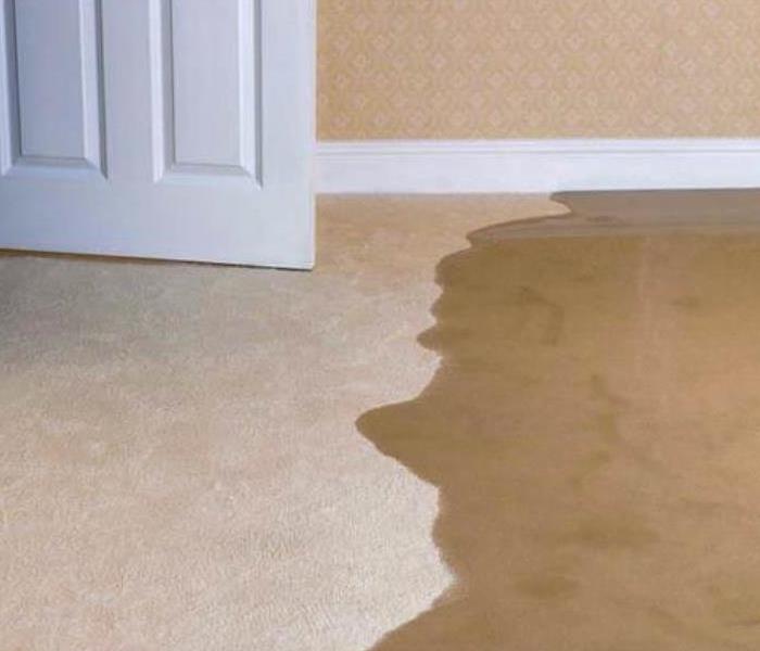 Water on carpet.