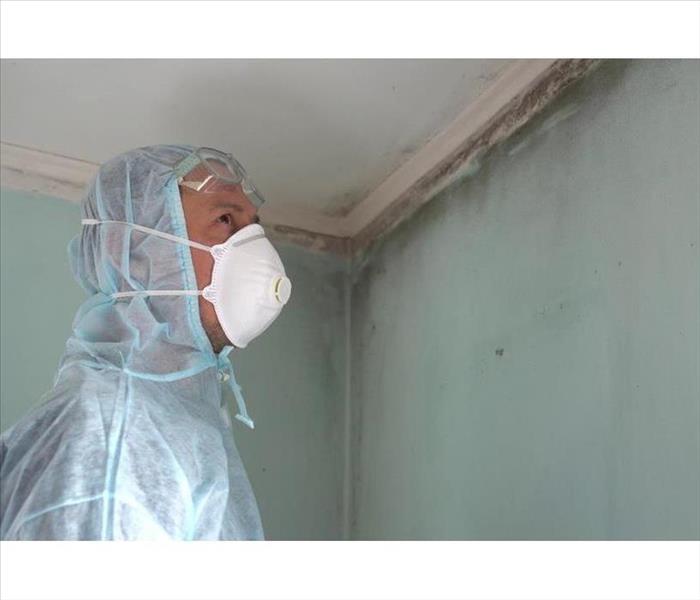 Man wearing protective gear and respiratory mask while doing a mold inspection.